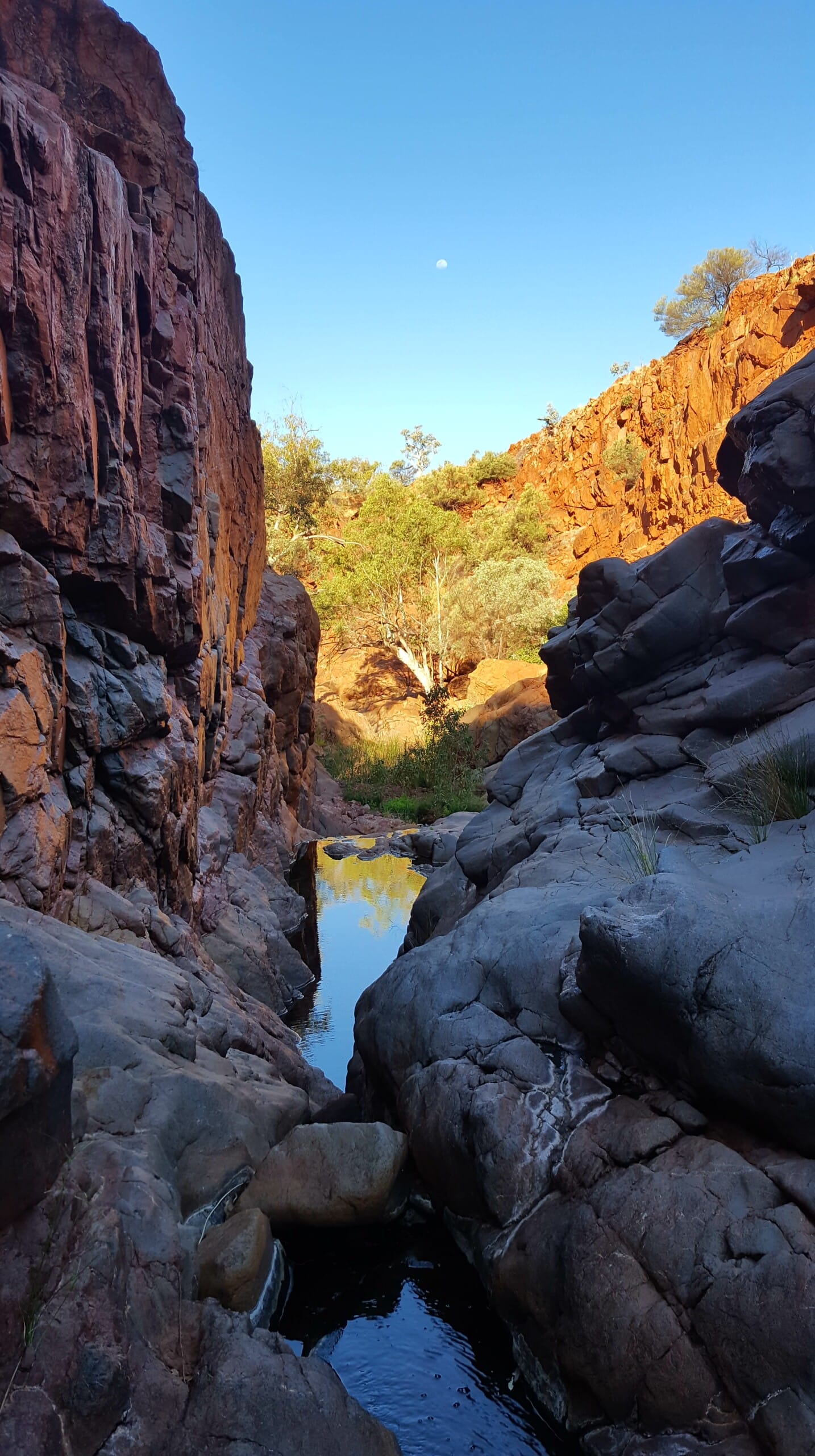 stream between towering red rock cliffs