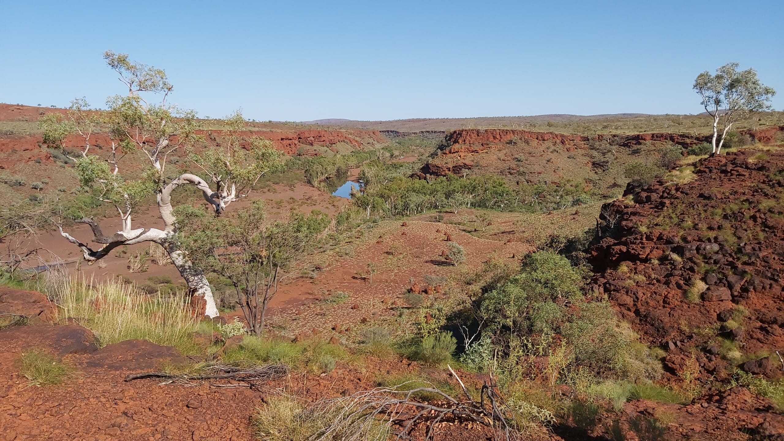 Scenic red rock canyon panorama