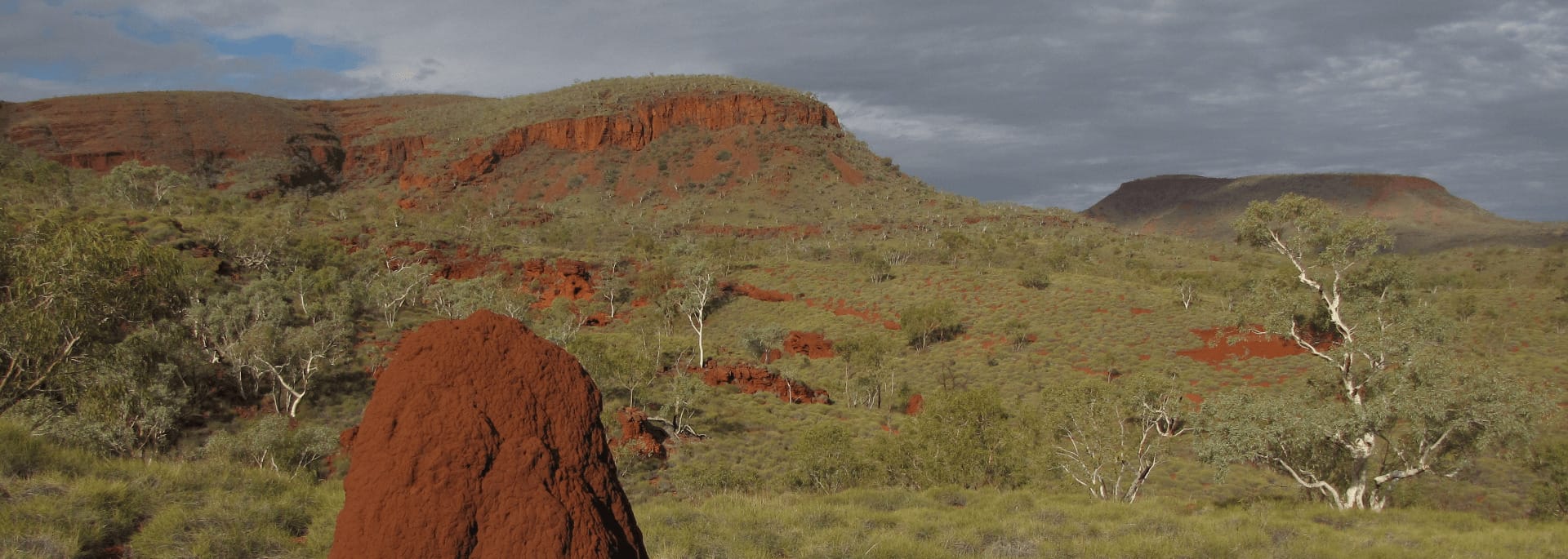 rolling hills with a protruding termite mound
