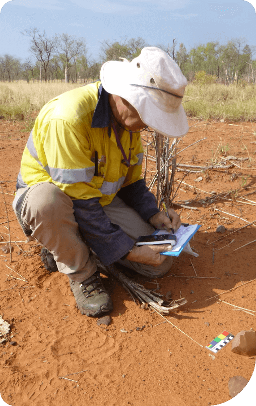 echoes team member running a survey