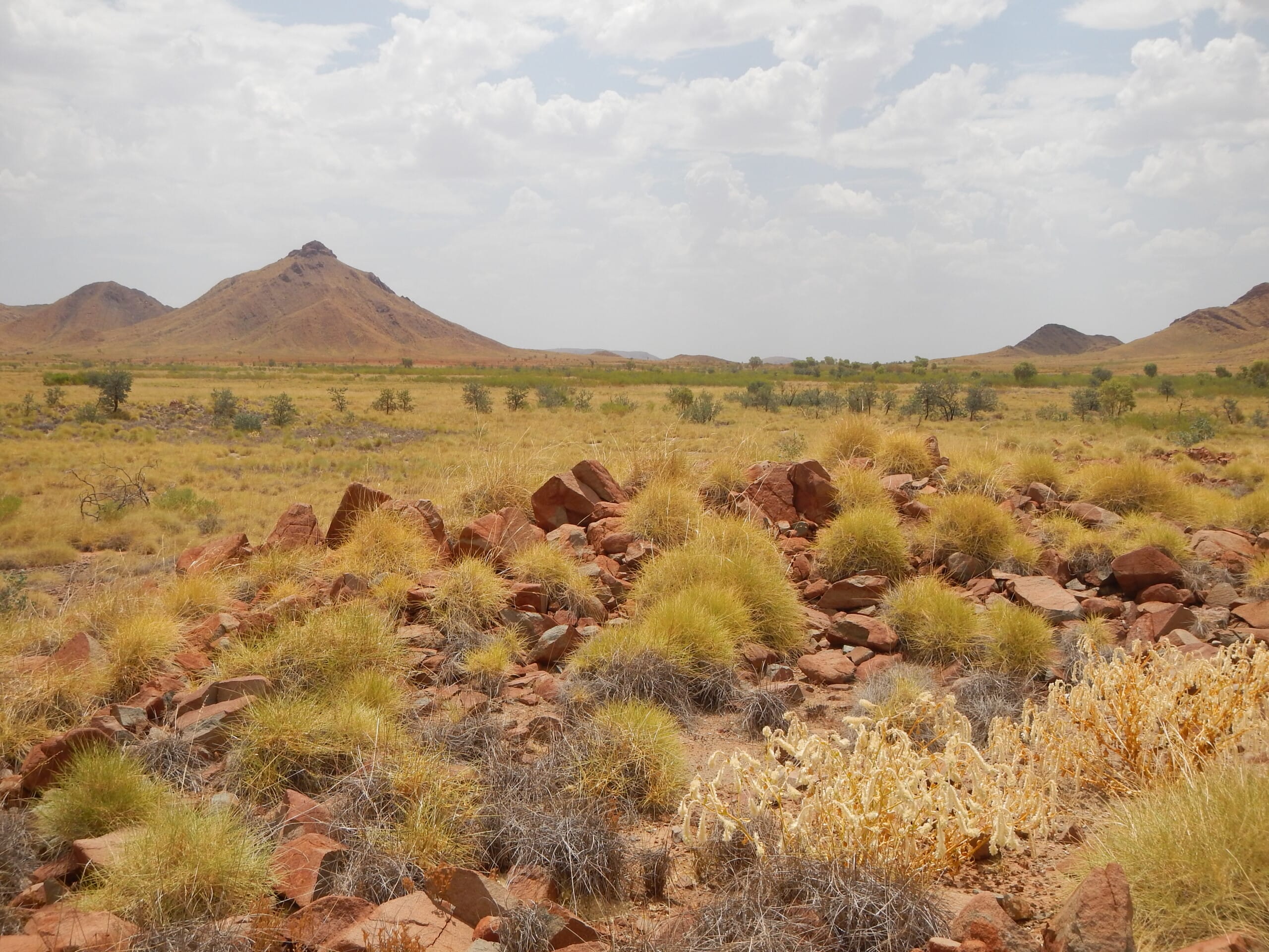 dry, grassy landscape with reddish rocky outcrops