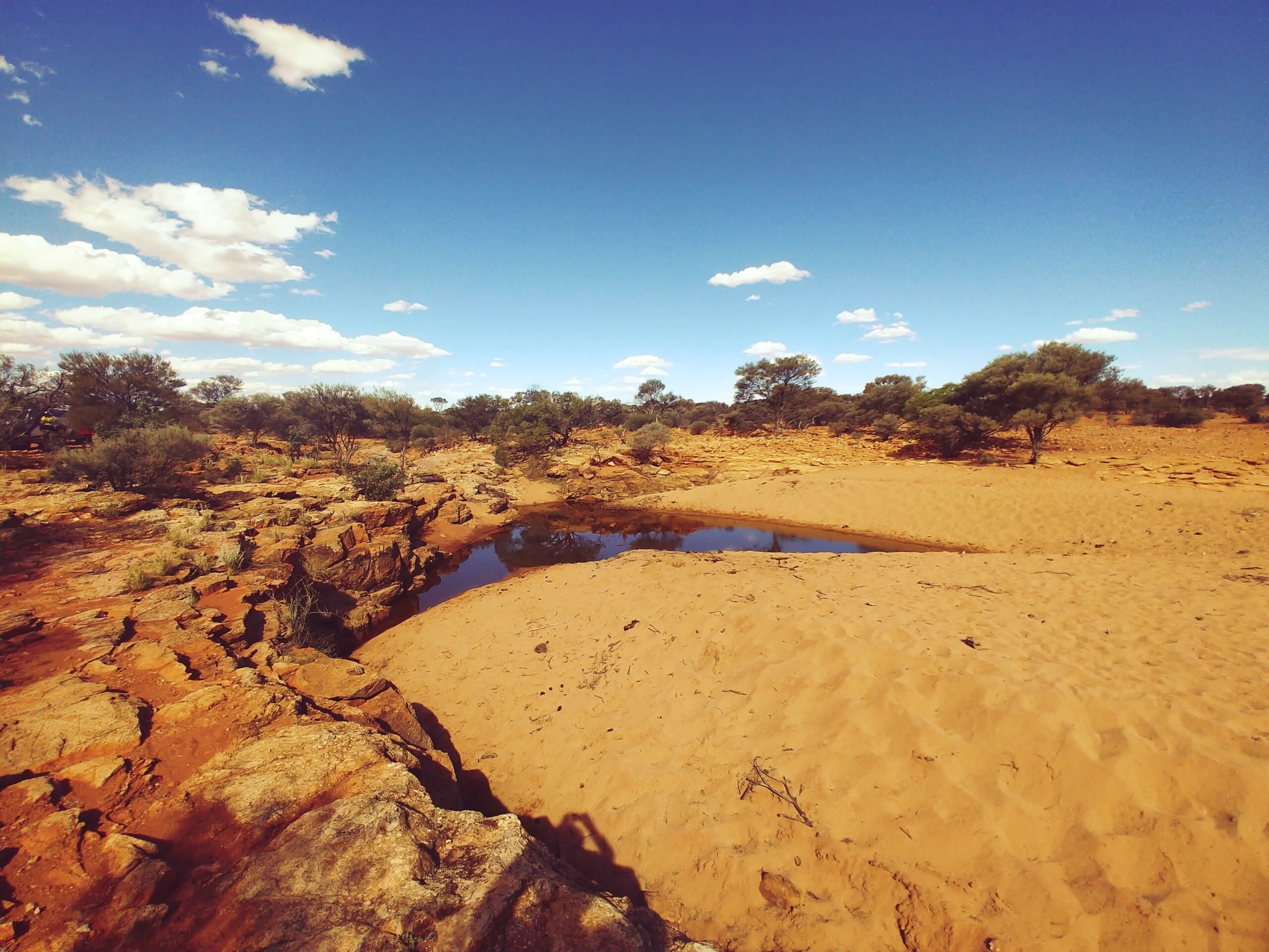 waterhole in the middle of sunny desert