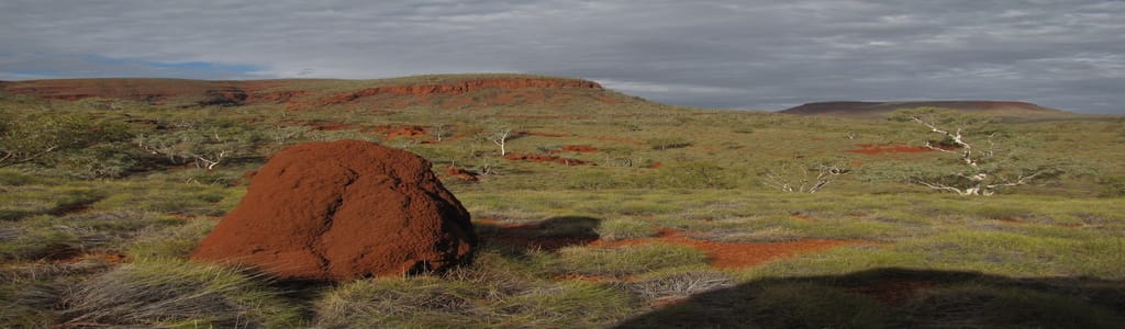 Outback scene with mound in guruma rail site