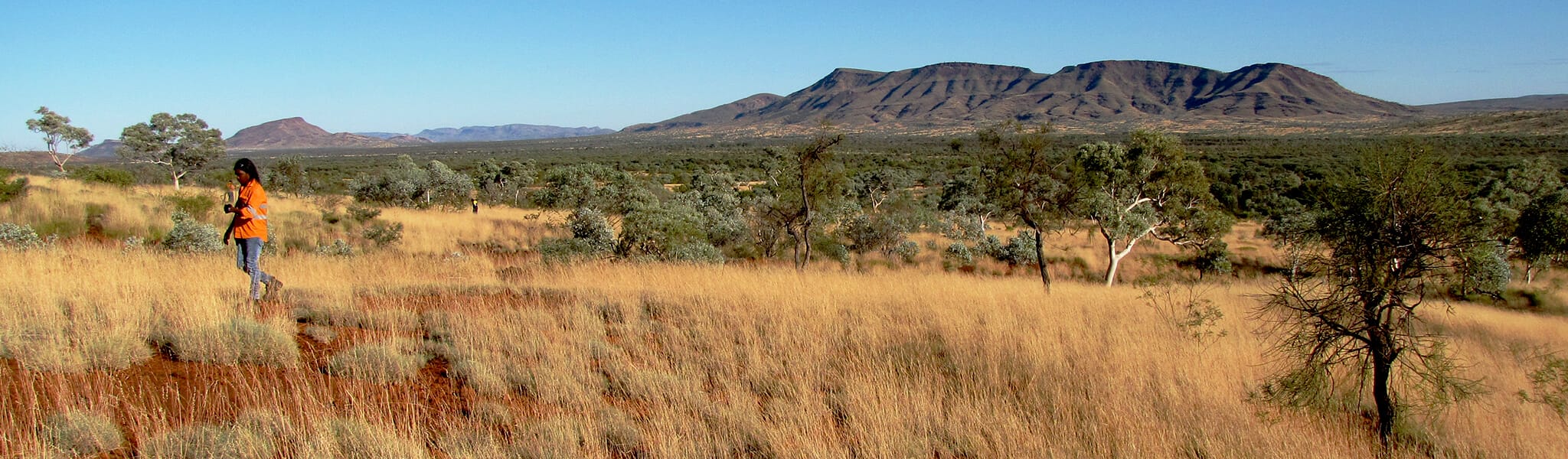 Person surveying in remote outback in hope downs