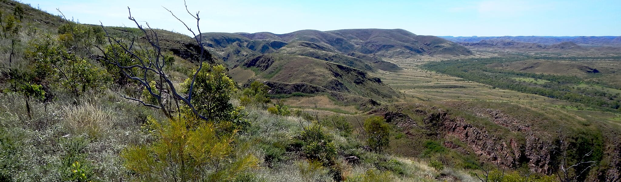 Rolling hills with sparse vegetation in miralga creek