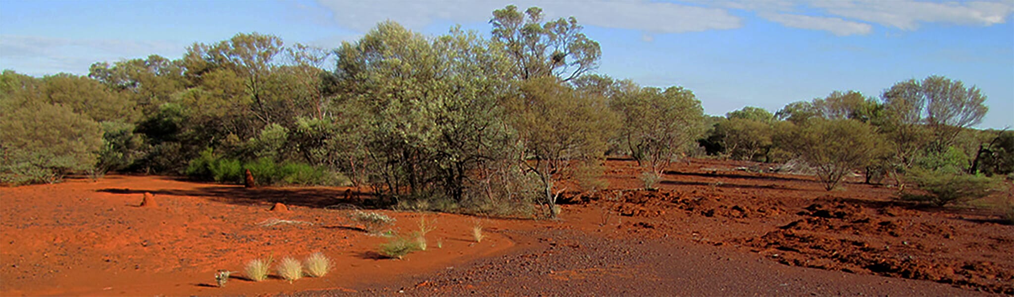 RTIO Rail Capacity Expansion