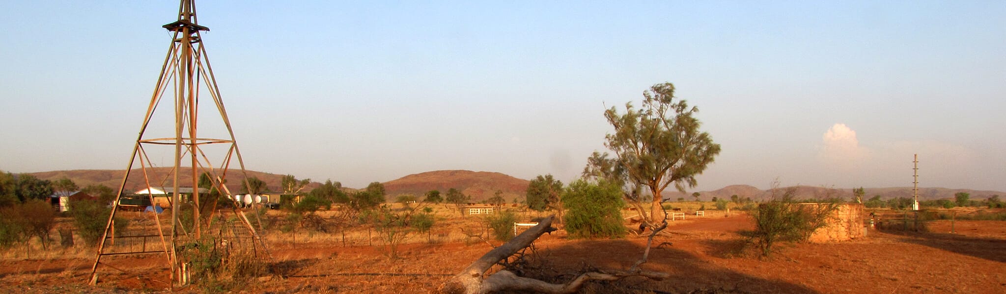 Outback farmstead with windmill.